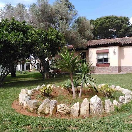 Chalet En La Barrosa, Piscina+Bbq+Grifo De Cerveza Chiclana de la Frontera Exteriér fotografie